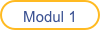 Modul 1
